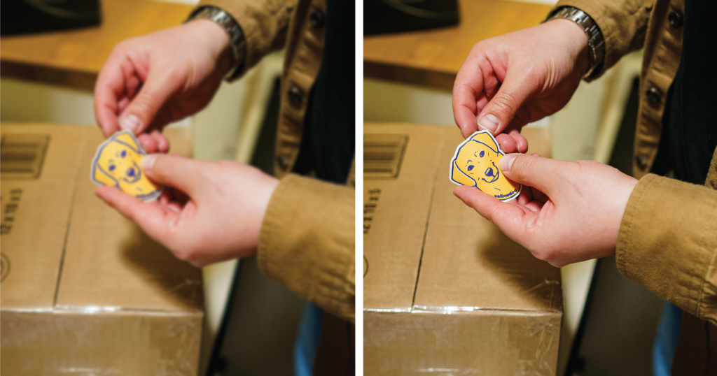 Two side-by-side version of the same photo. The photo is a close-up of a die-cut YellowDog labrador sticker. A person's hands are holding the sticker over a cardboard box and getting ready to peel the sticker from its backing. The version on the left is low-resolution and fuzzy. The version on the right is high-resolution and clear.