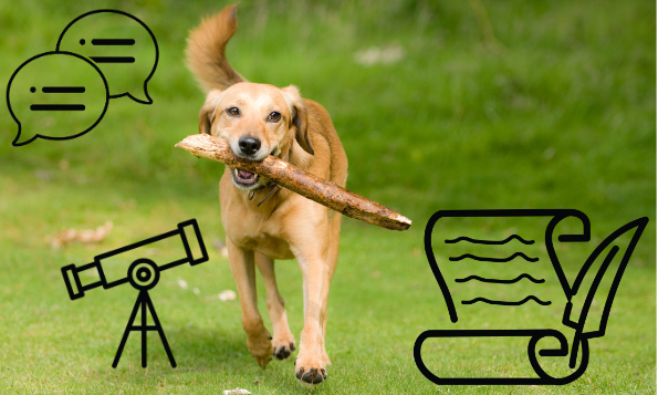 Labrador running through a field with a stick. Black and white line drawings of speech bubbles, a telescope and a scroll with a feather quill overlay the photo.