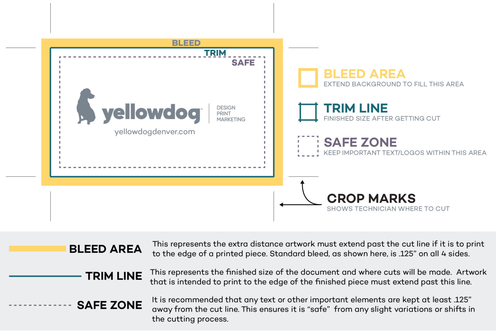 Diagram demonstrating print guidelines including: Bleed area: Extend background to fill this area. Trim line: Finished size after getting cut. Safe zone: Keep important text/logos within this area. Crop marks: Shows technician where to cut. And basic definitions: Bleed area: This represents the extra distance artwork must extend past the cut line if it is to print to the edge of a printed piece. Standard bleed, as shown here, is .125" on all 4 sides. Time line: This represents the finished size of the document and where cuts will be made. Artwork that is intended to print to the edge of the finished piece must extend past this line. Safe zone: It is recommended that any text or other important elements are kept at least .125" away from the cut line. This ensures it is "safe" from any slight variations or shifts in the cutting process.