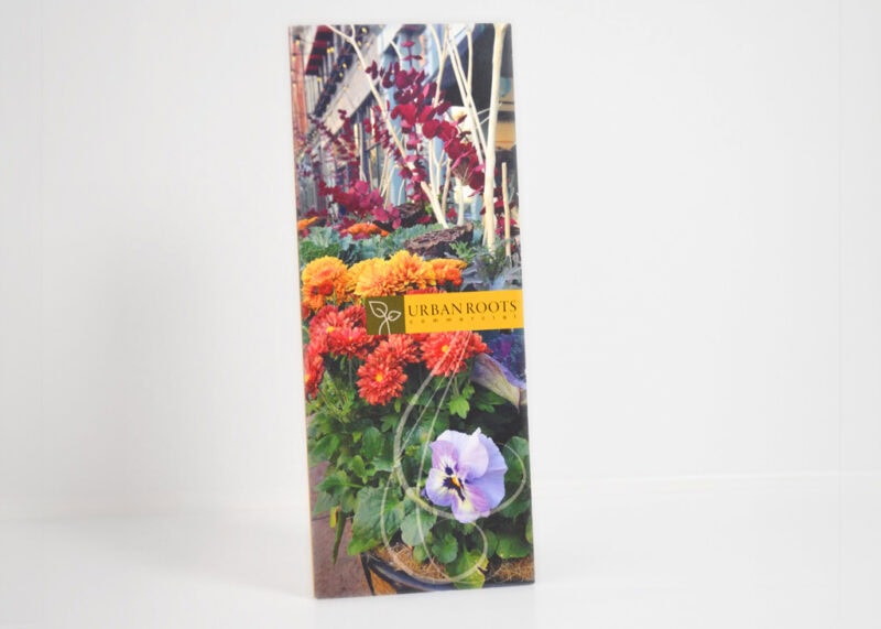Urban Roots brochure designed and printed by YellowDog