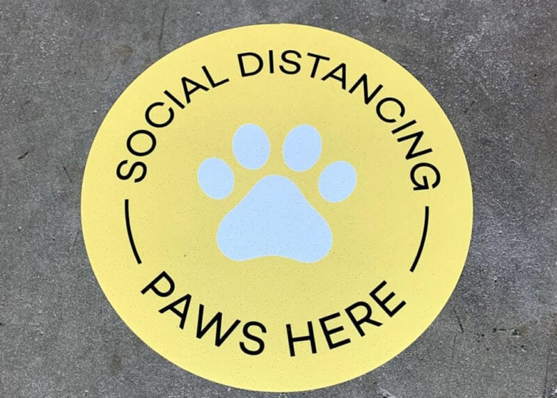 YellowDog paws here floor graphic